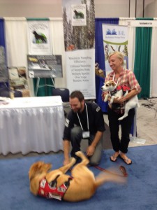 View Full Size Image