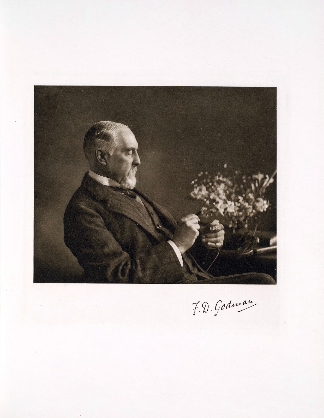 View Full Size Image