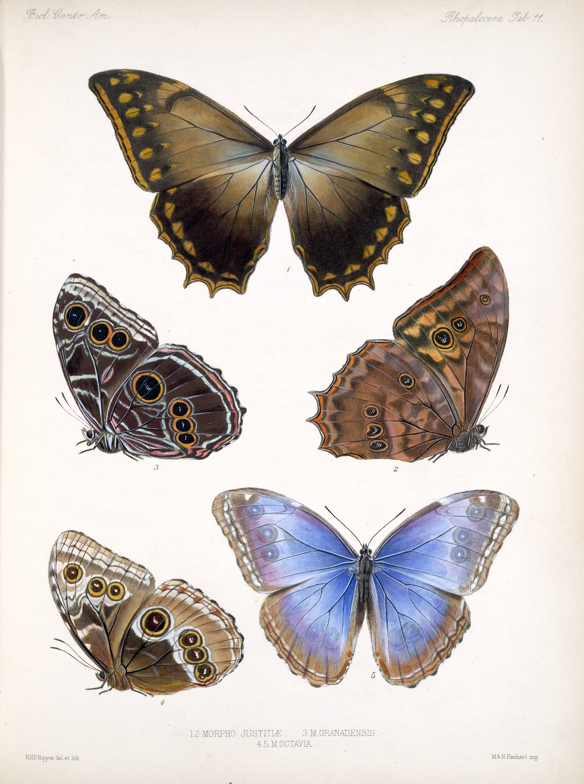 View Full Size Image