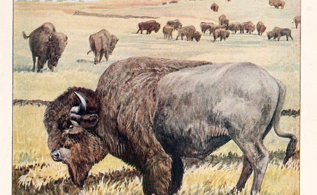 Read the full blog post