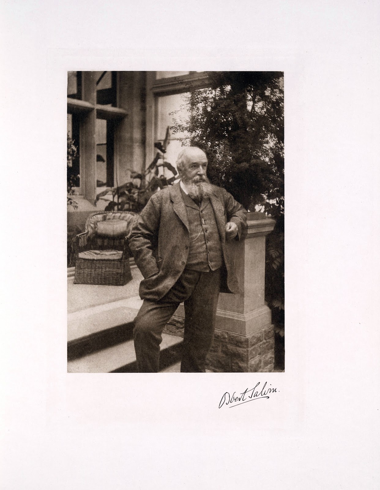 View Full Size Image