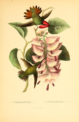 View Full Size Image