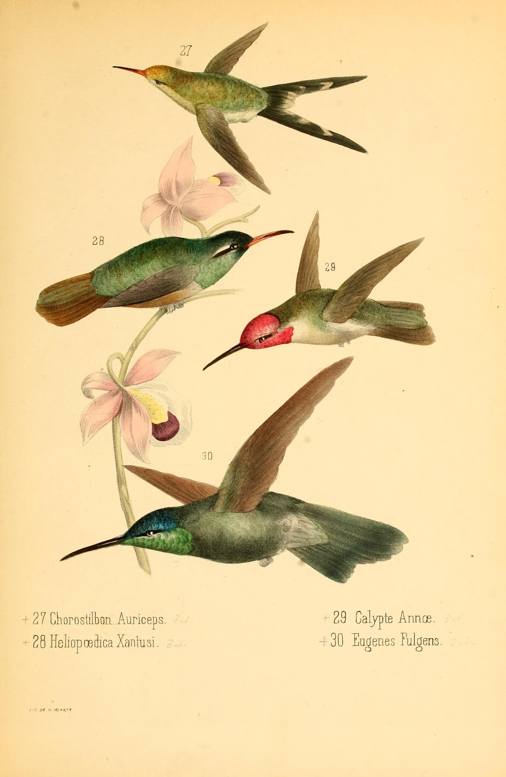 View Full Size Image