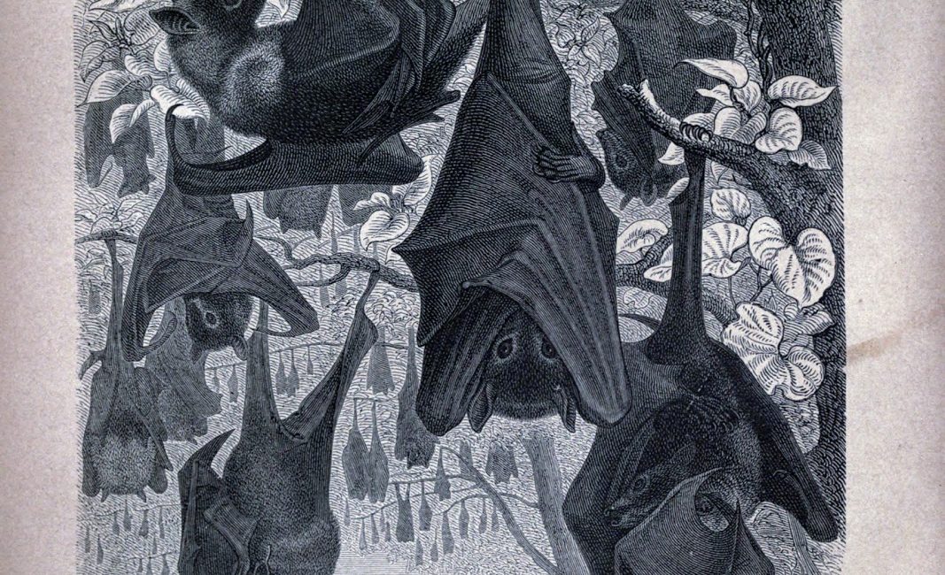 Read the full blog post