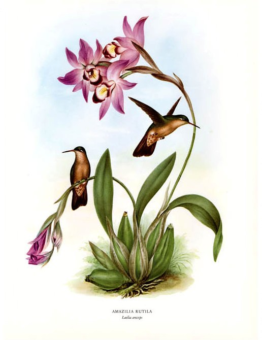 View Full Size Image