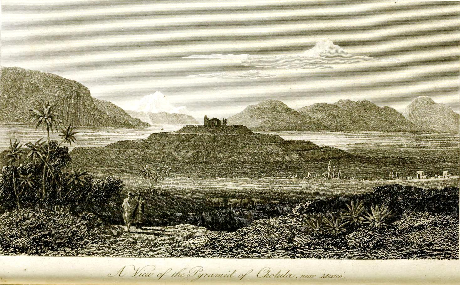 View Full Size Image