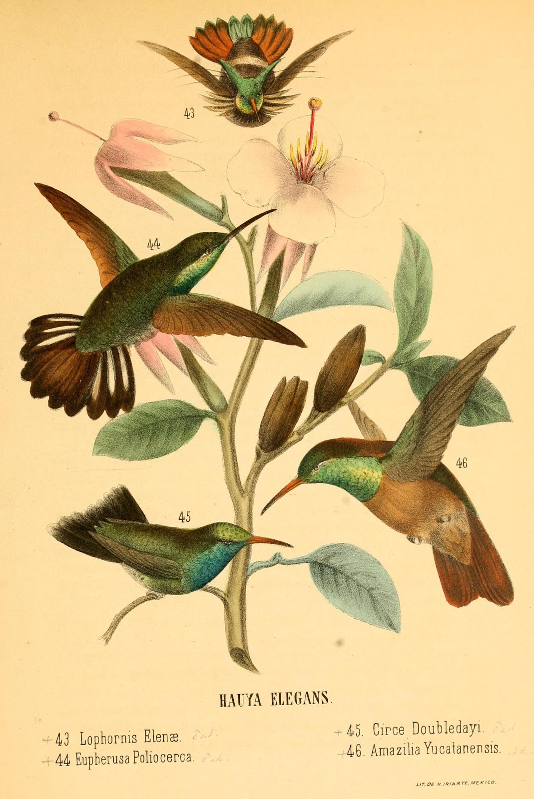 View Full Size Image