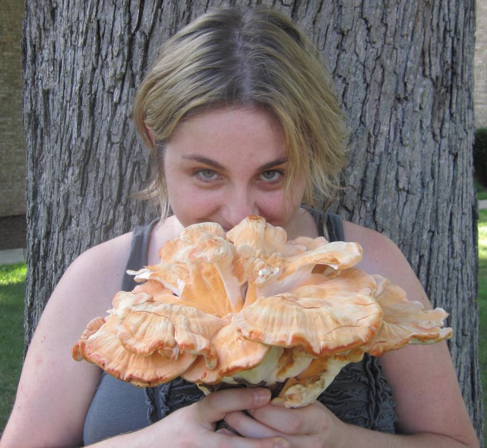 View Full Size Image