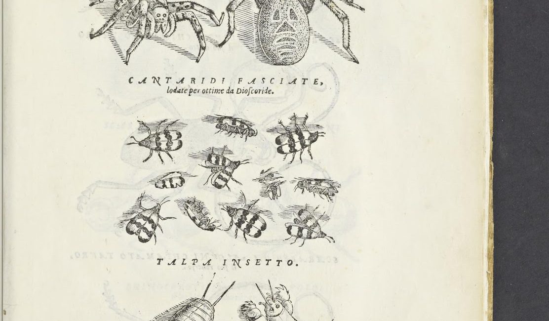 Read the full blog post