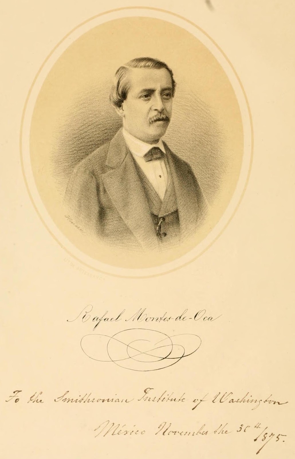 View Full Size Image