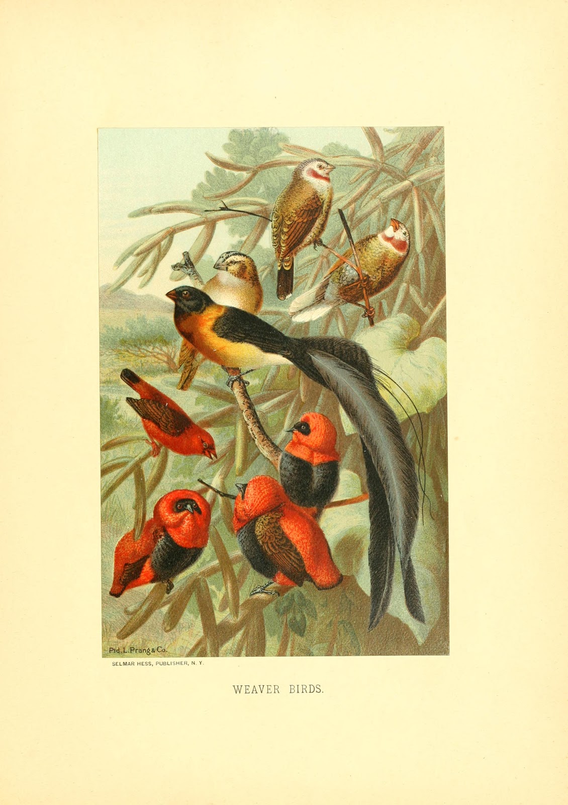 View Full Size Image