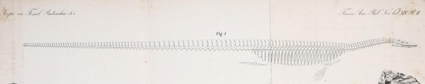 View Full Size Image