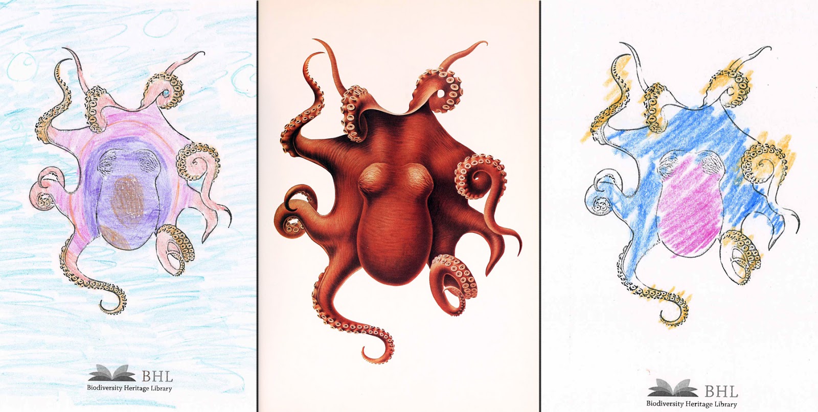 View Full Size Image