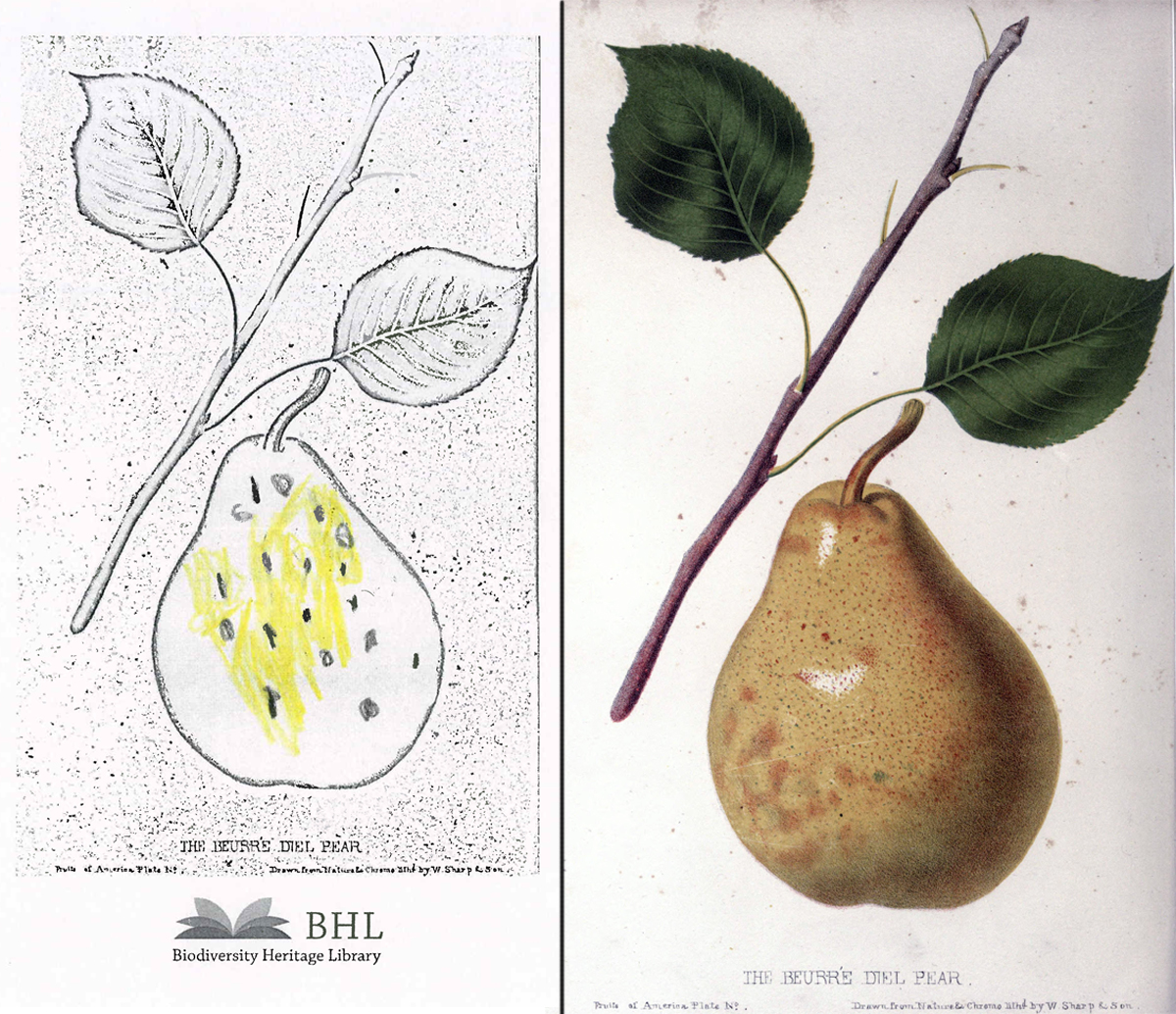 View Full Size Image