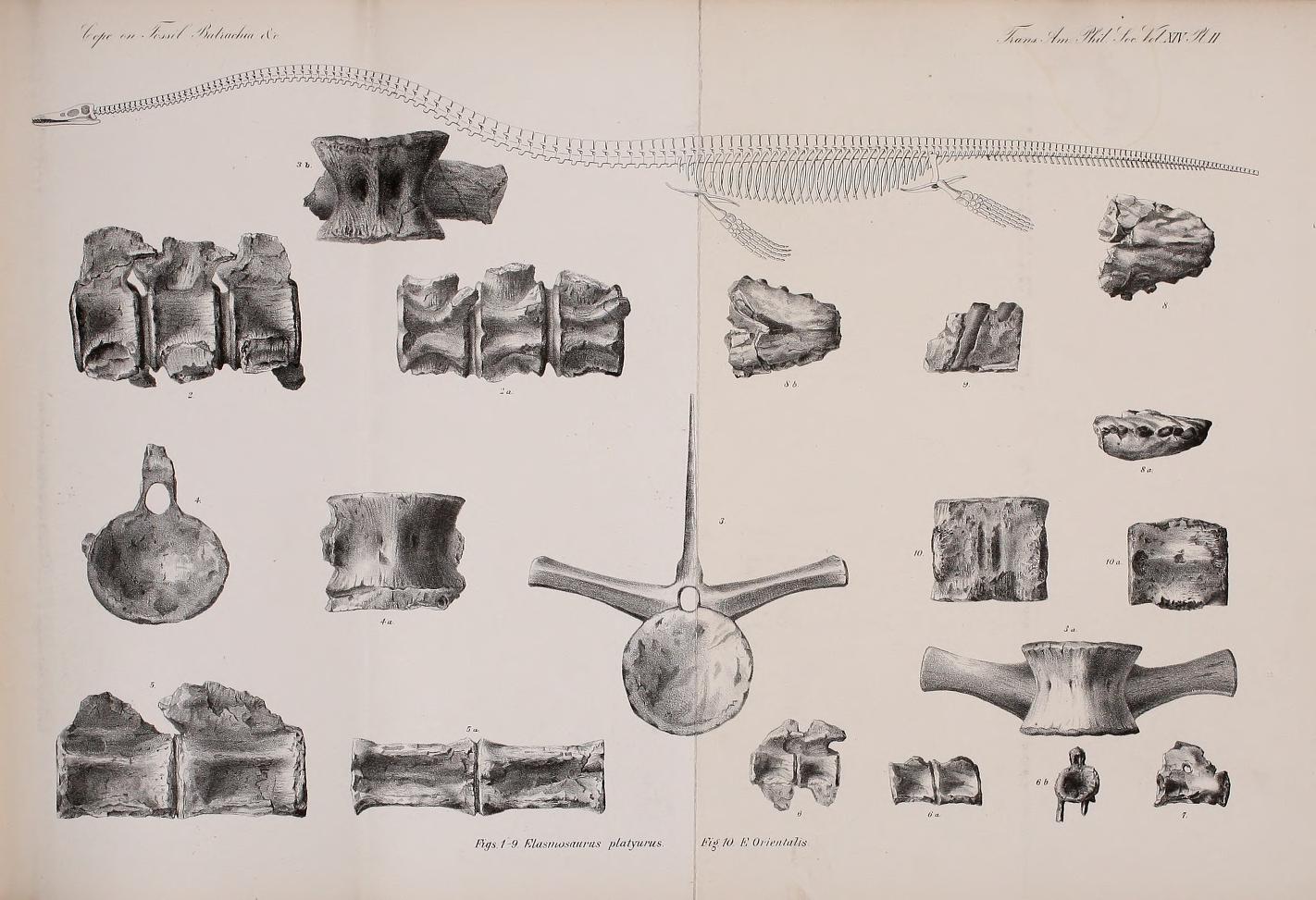 View Full Size Image