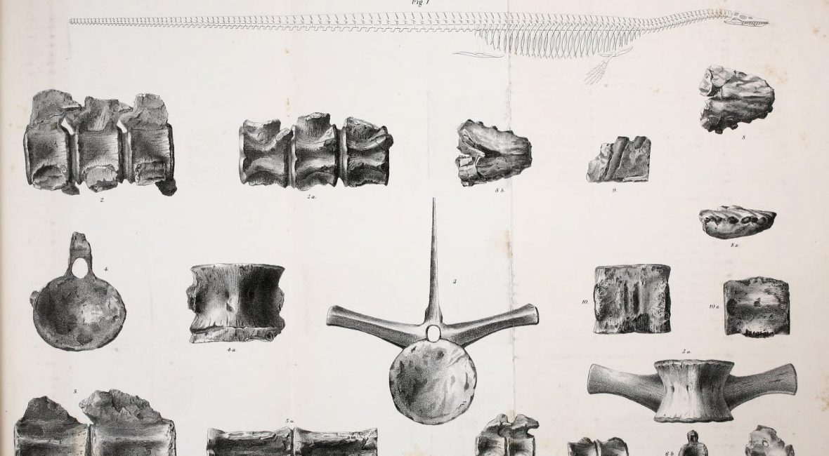 Read the full blog post