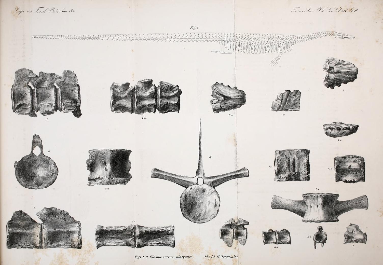 View Full Size Image