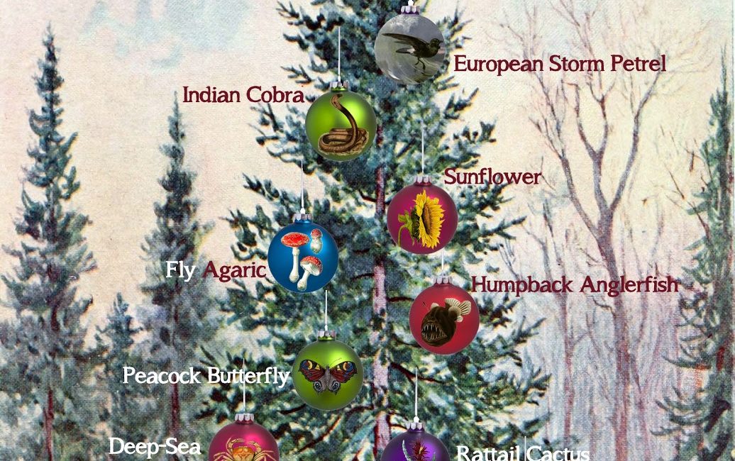 Read the full blog post