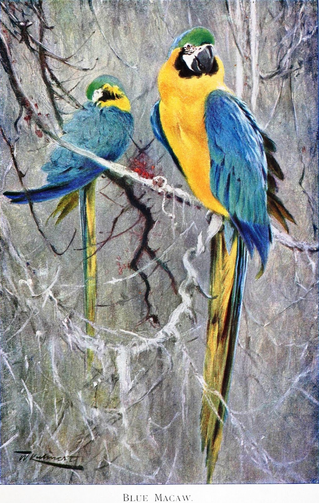 View Full Size Image