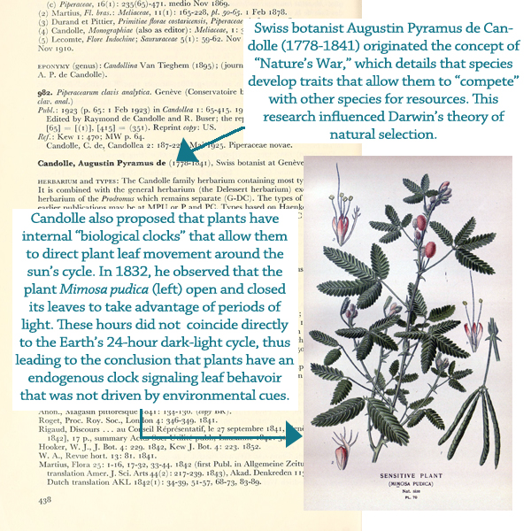 Read the full blog post