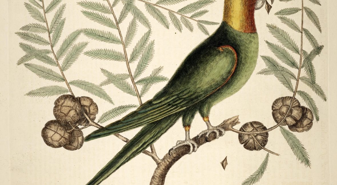 Read the full blog post