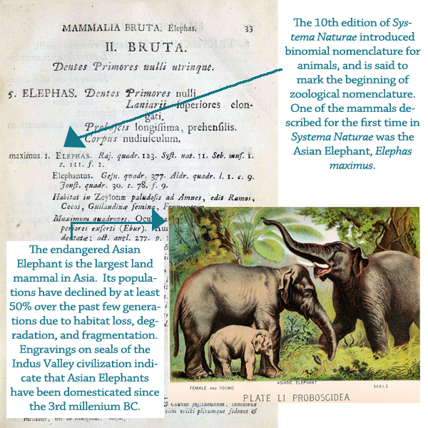 View Full Size Image