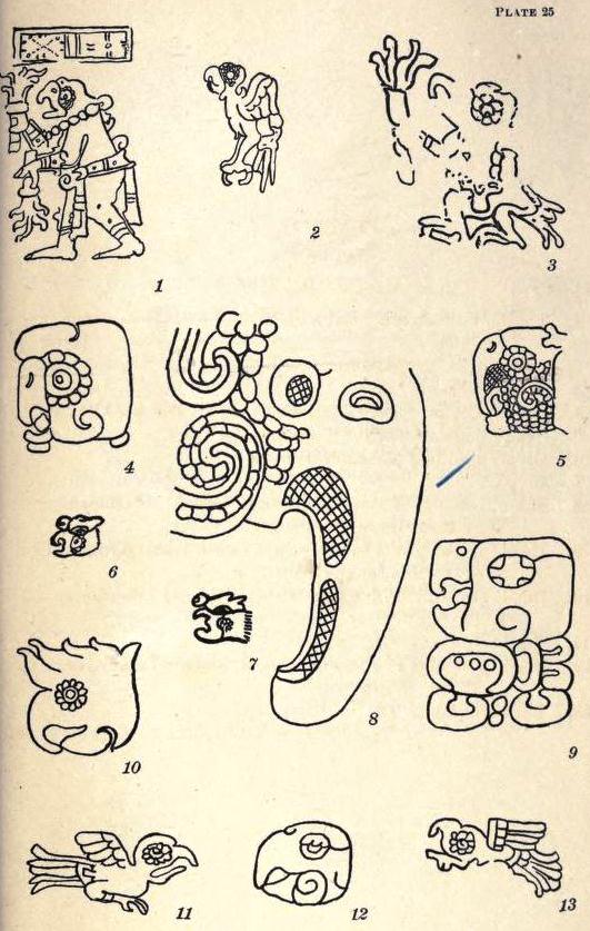 View Full Size Image