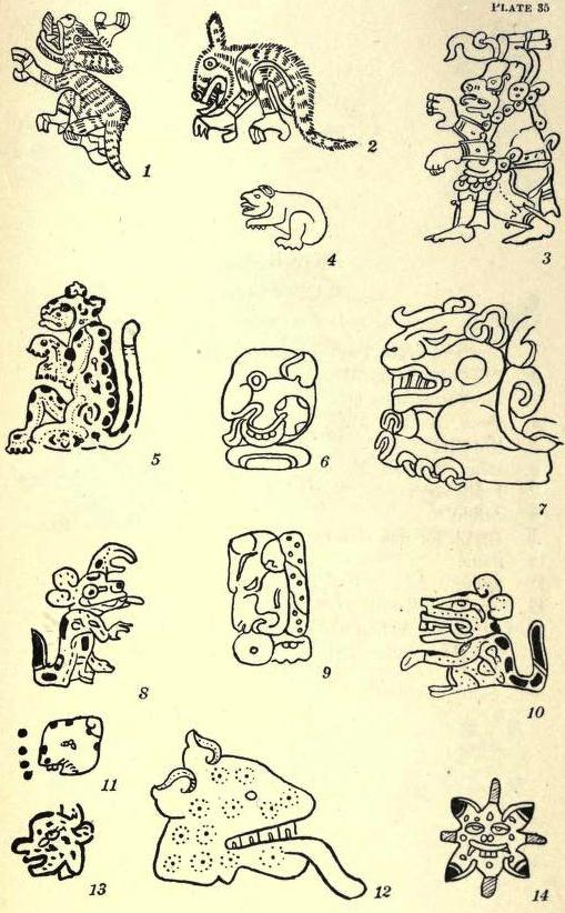 View Full Size Image