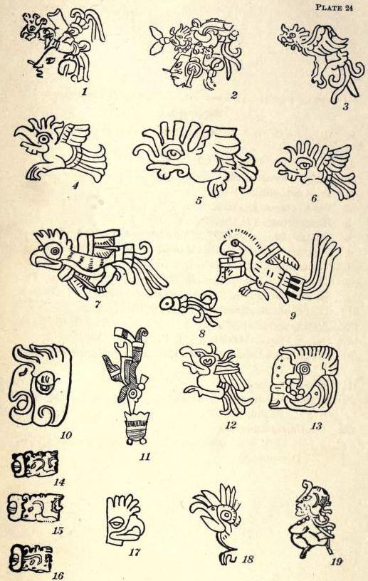 View Full Size Image