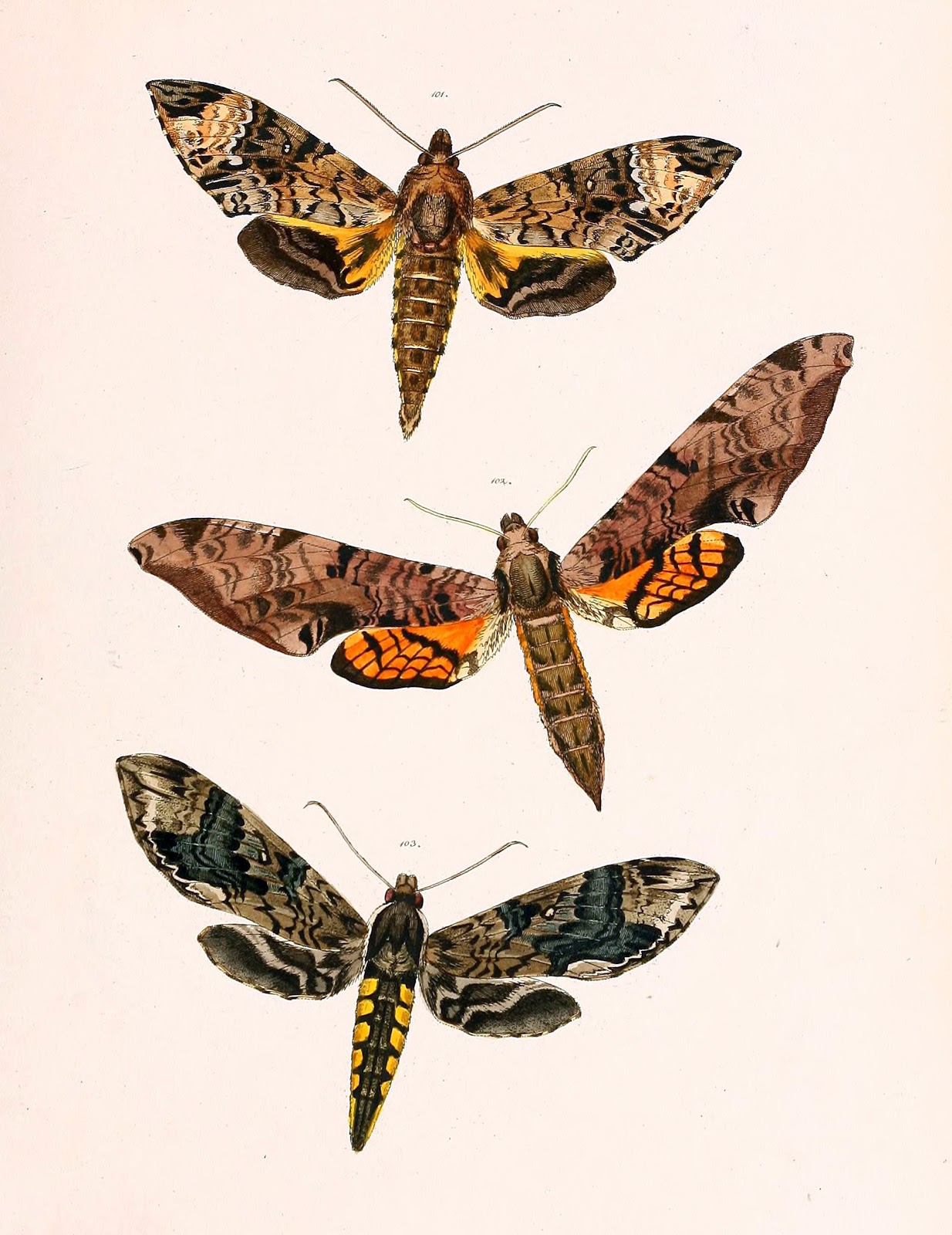 View Full Size Image