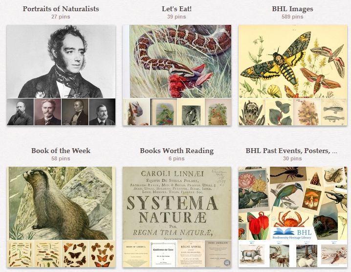 View Full Size Image