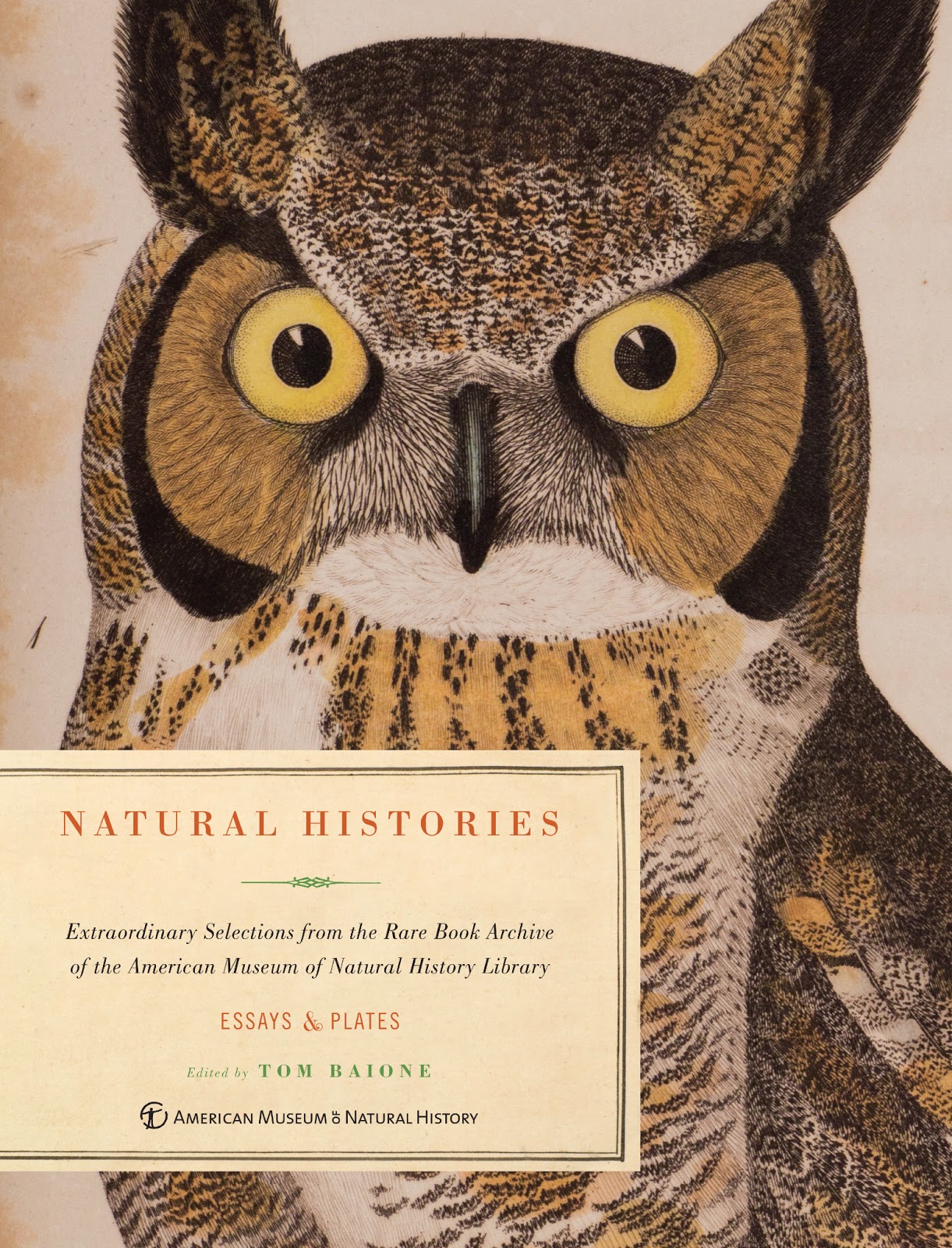 View Full Size Image