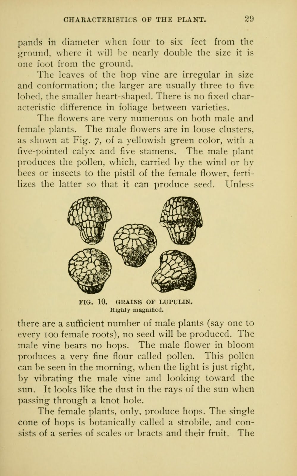 View Full Size Image