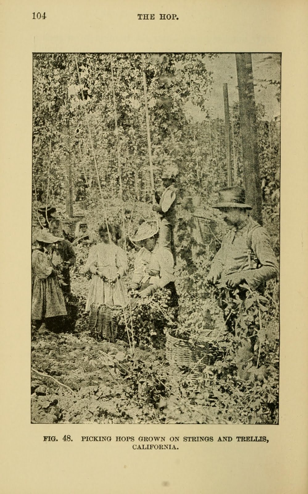 View Full Size Image