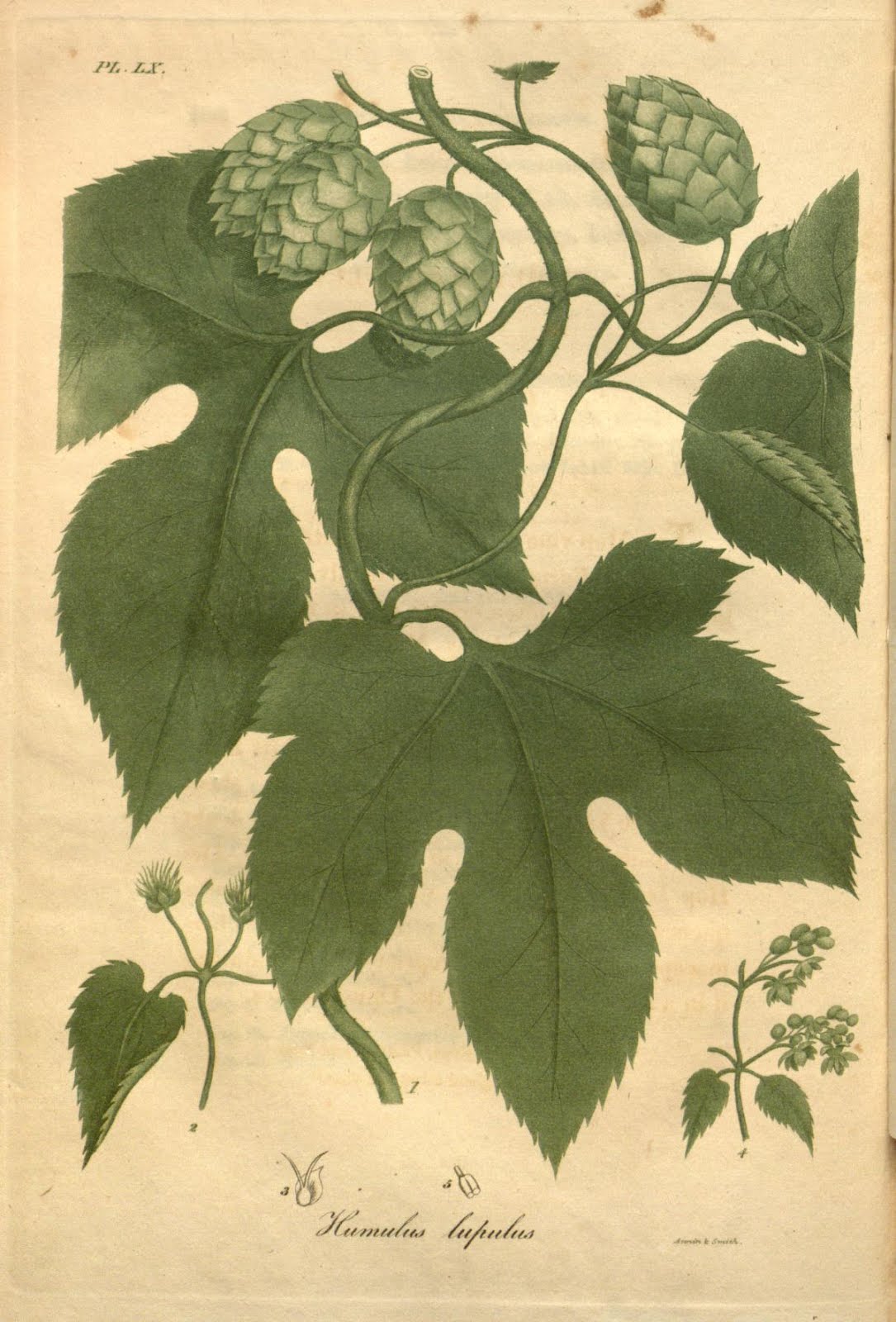 View Full Size Image