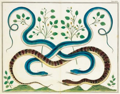 View Full Size Image