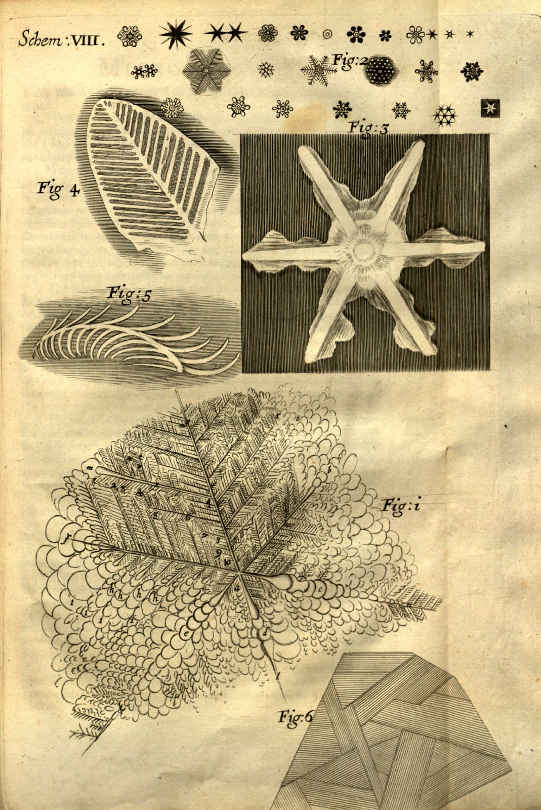 View Full Size Image