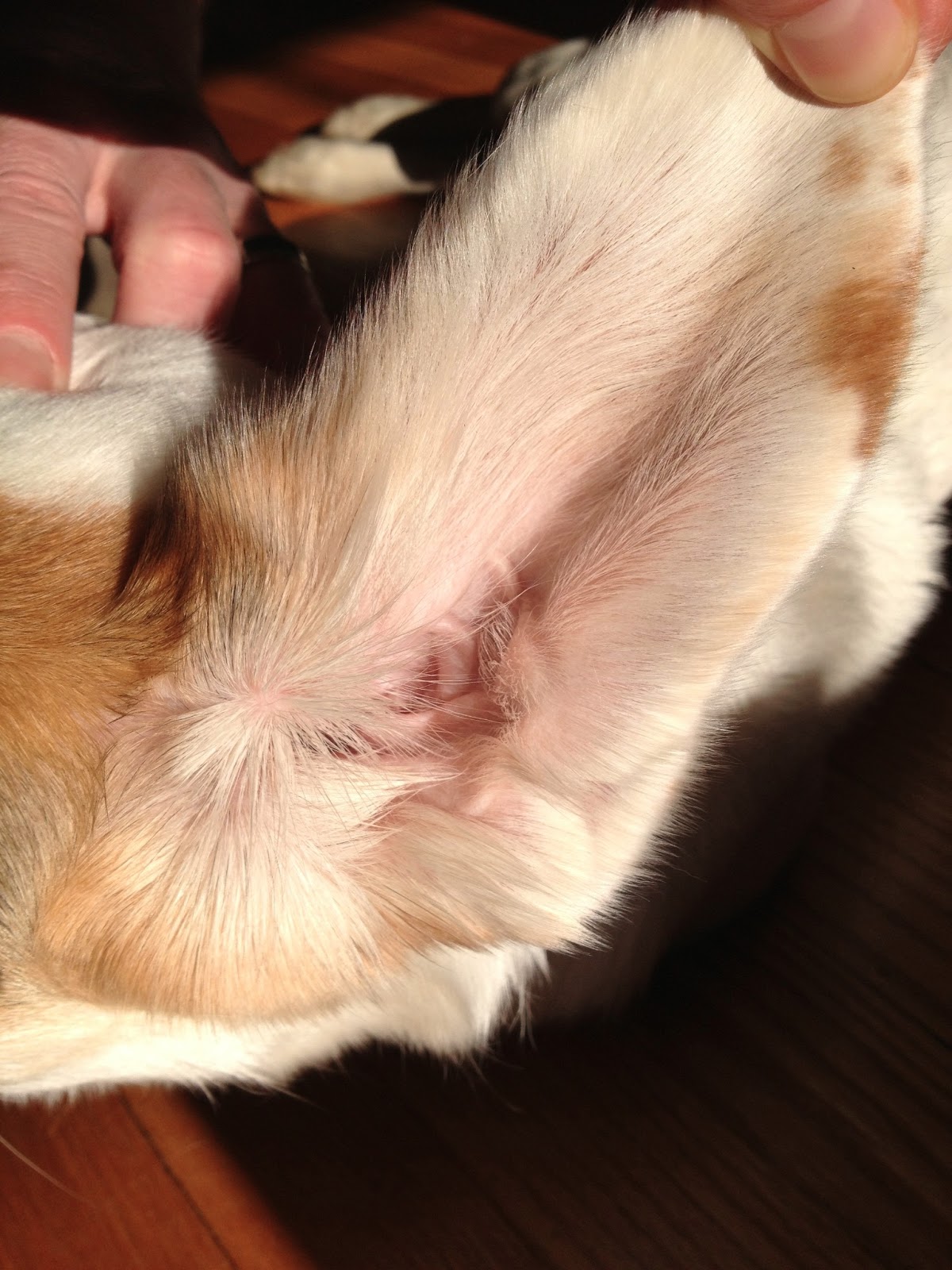 View Full Size Image