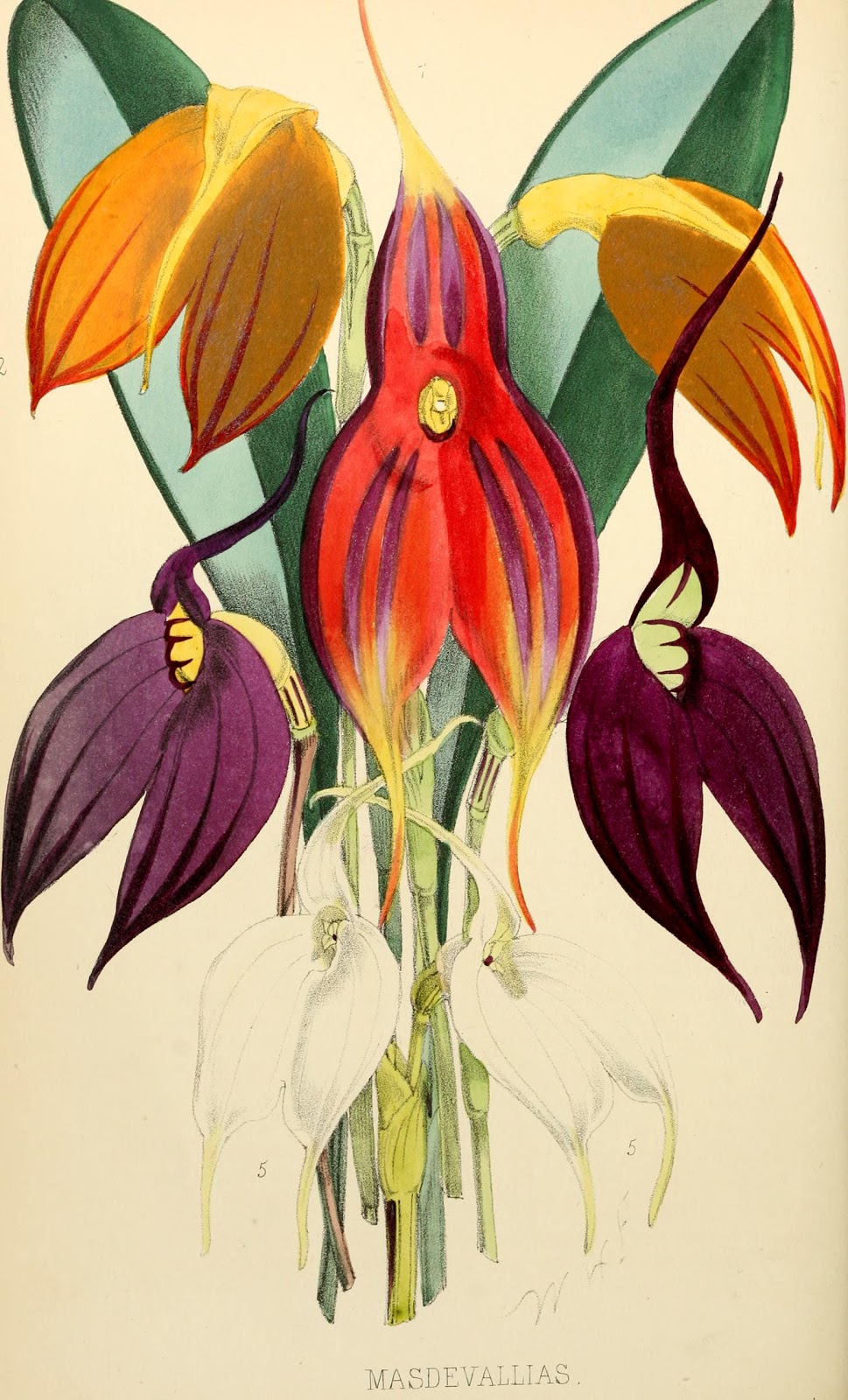 View Full Size Image