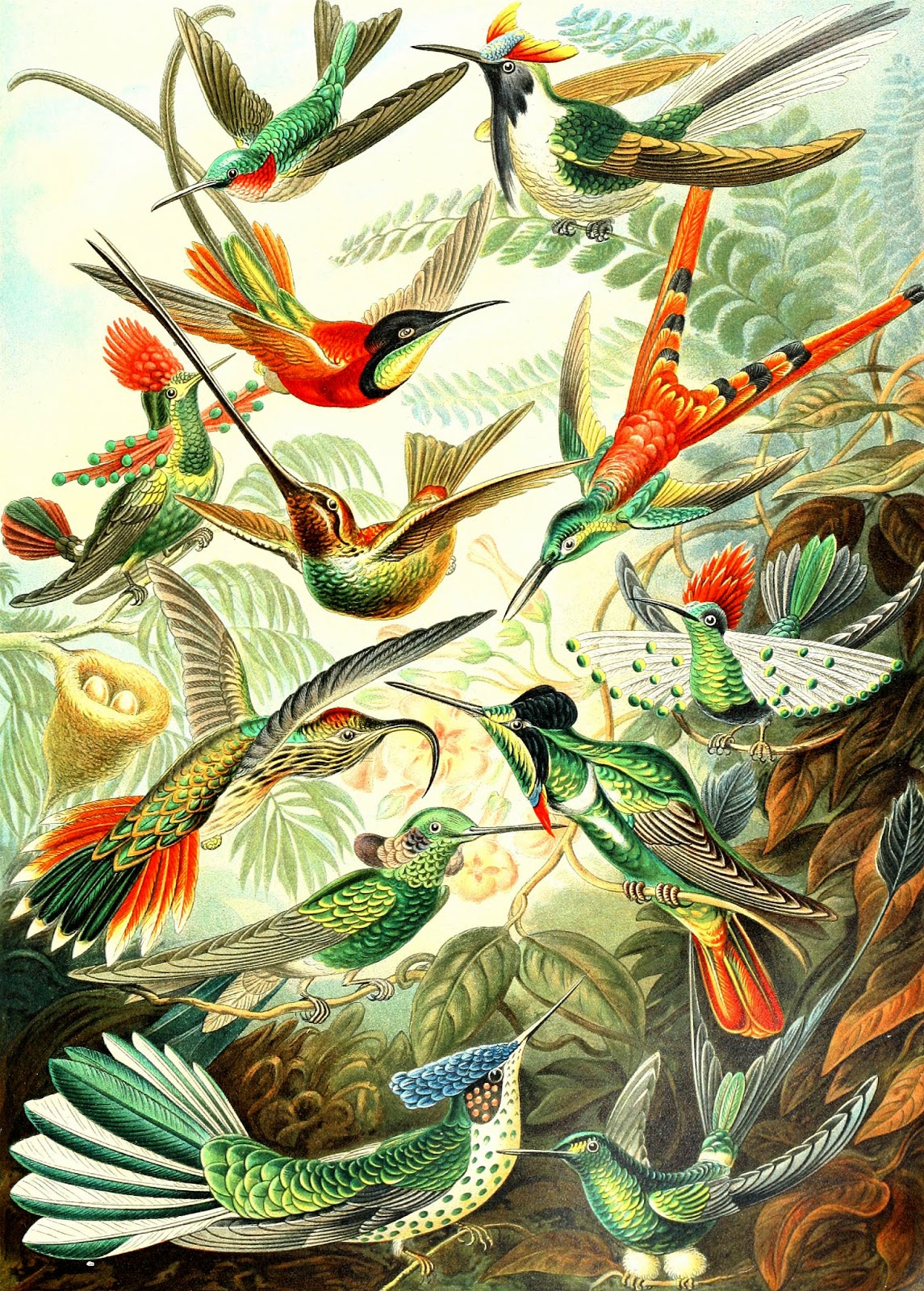 View Full Size Image