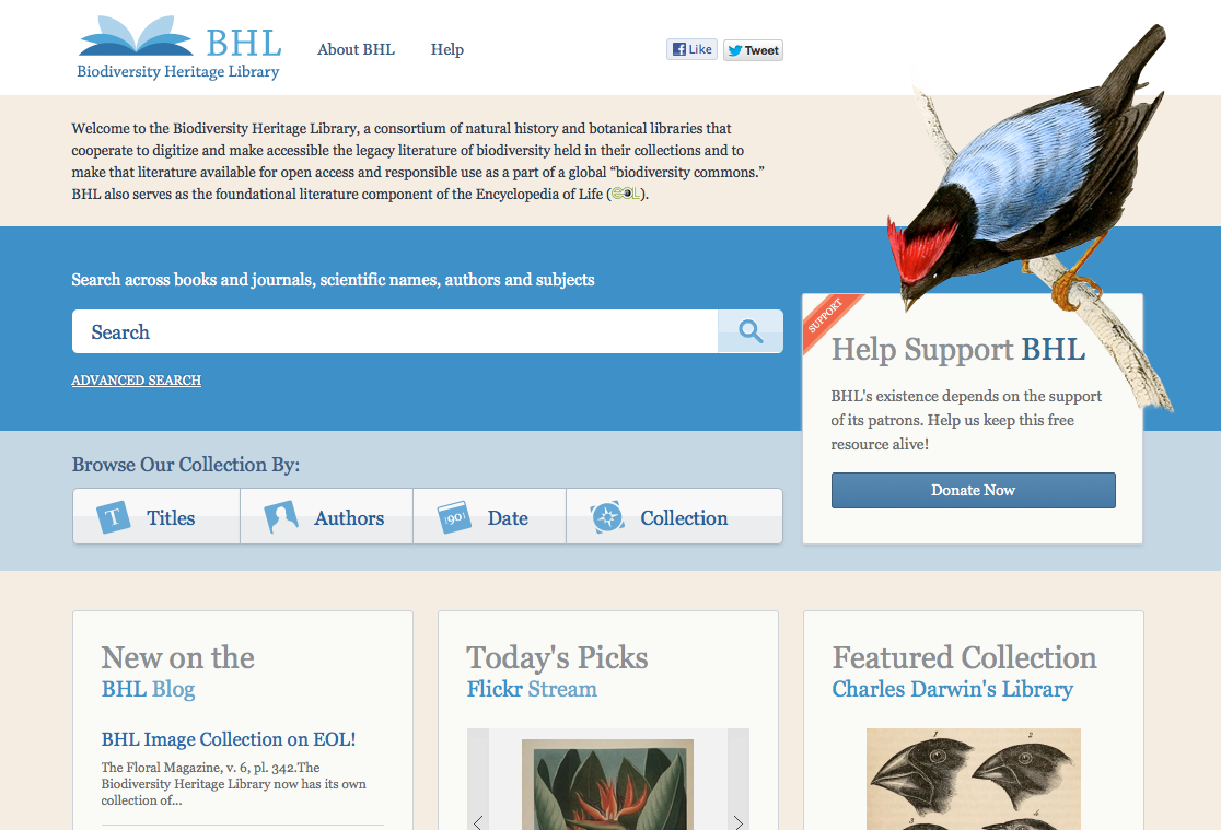 View Full Size Image