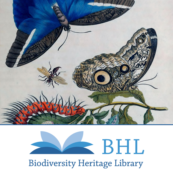 Read the full blog post