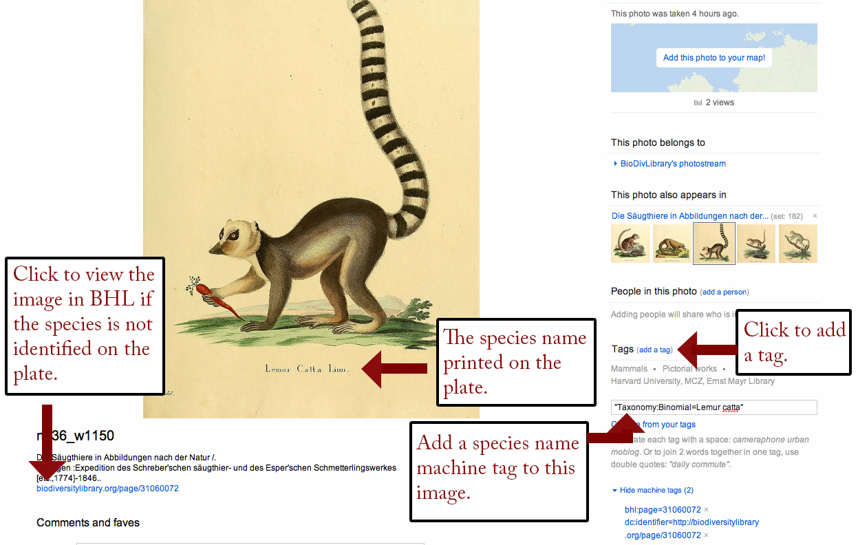 View Full Size Image