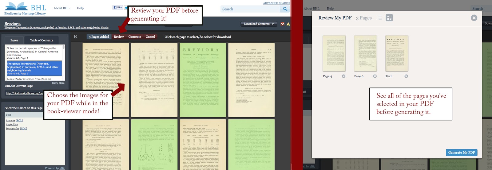 View Full Size Image