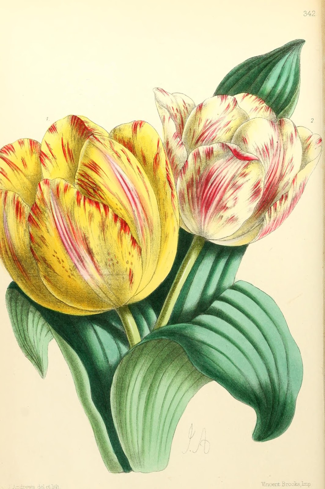 View Full Size Image