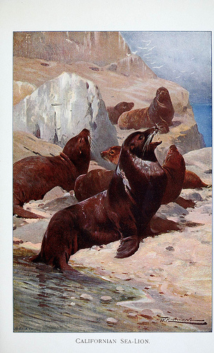 View Full Size Image