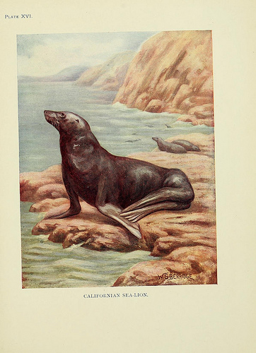 View Full Size Image