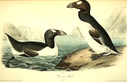 View Full Size Image