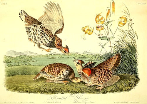 View Full Size Image