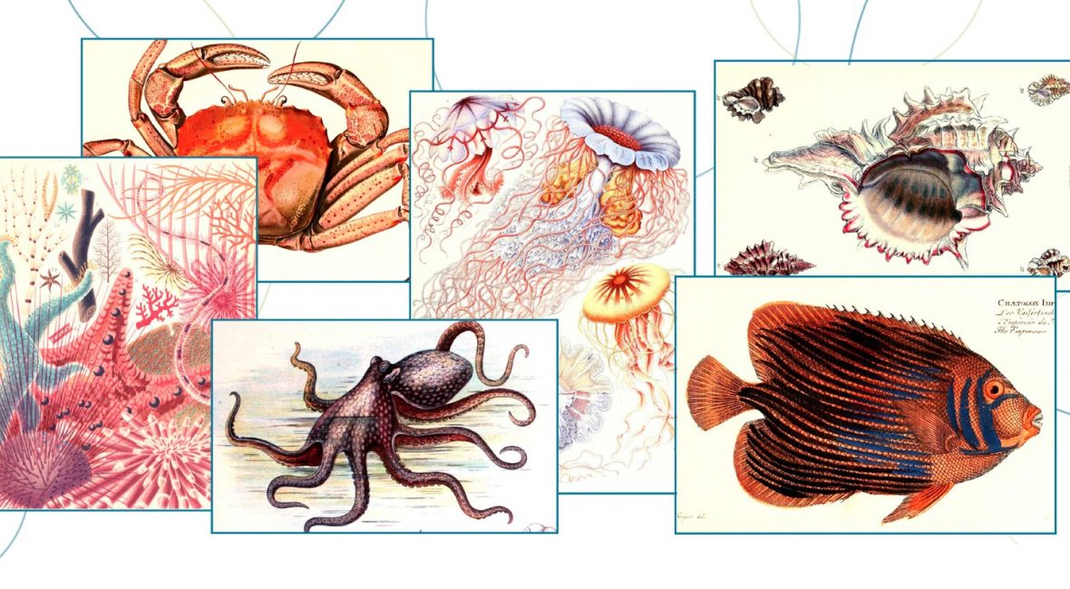 Read the full blog post